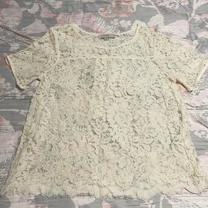 Loft elegant lace top